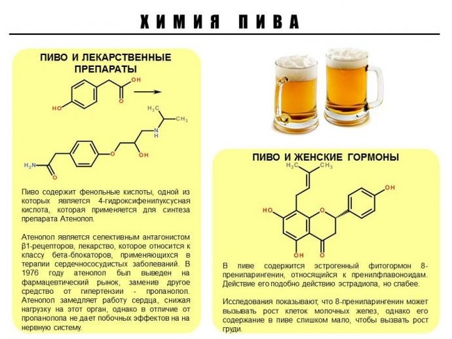 Рецепты Пива Пошагово