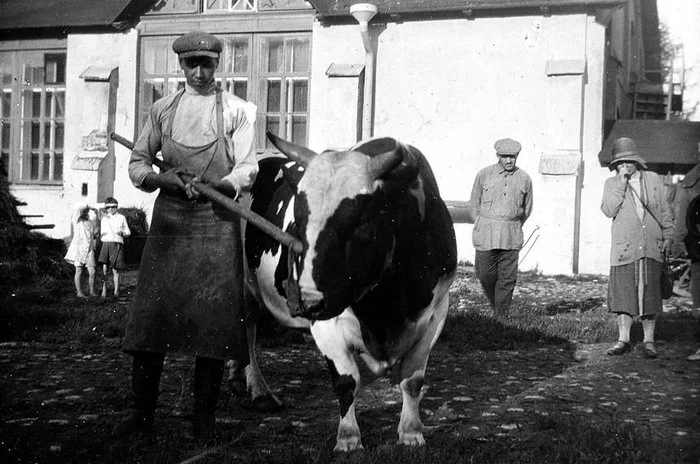 Взгляд из 30-х годов СССР, 30-е, Фотография, Длиннопост