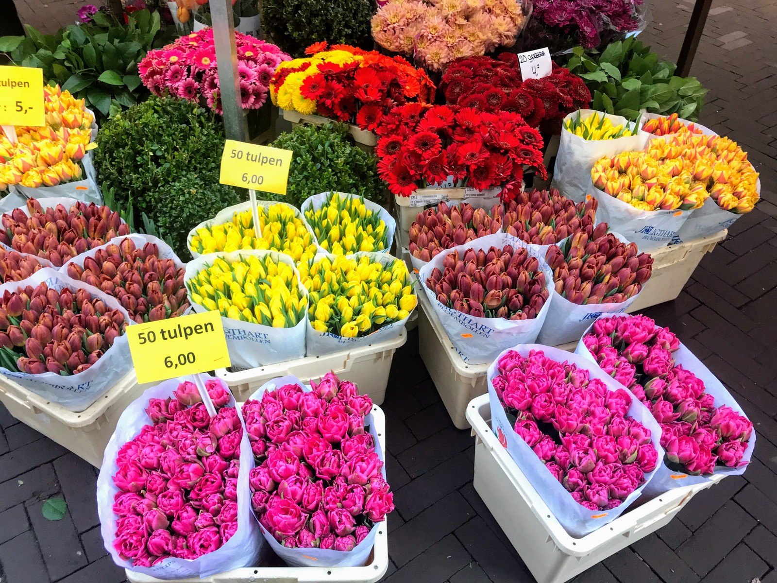Где Купить Цветы В Москве