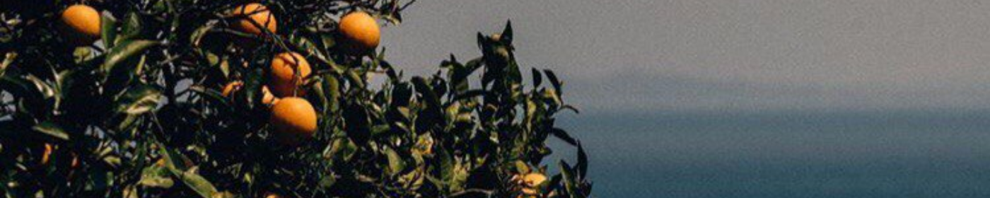 Pikabu banner for @Lonman
