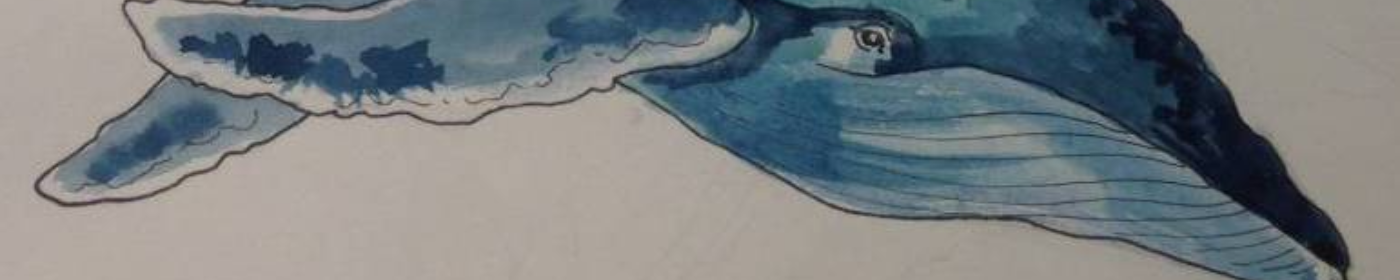 Pikabu banner for @evens