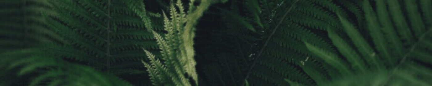 Pikabu banner for @Kendall