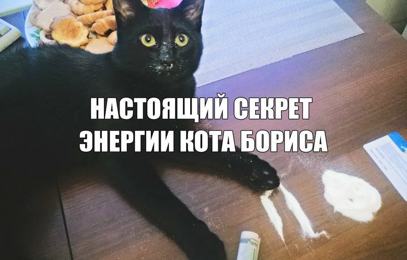 foto-zhir-ebatsya-ne-meshaet