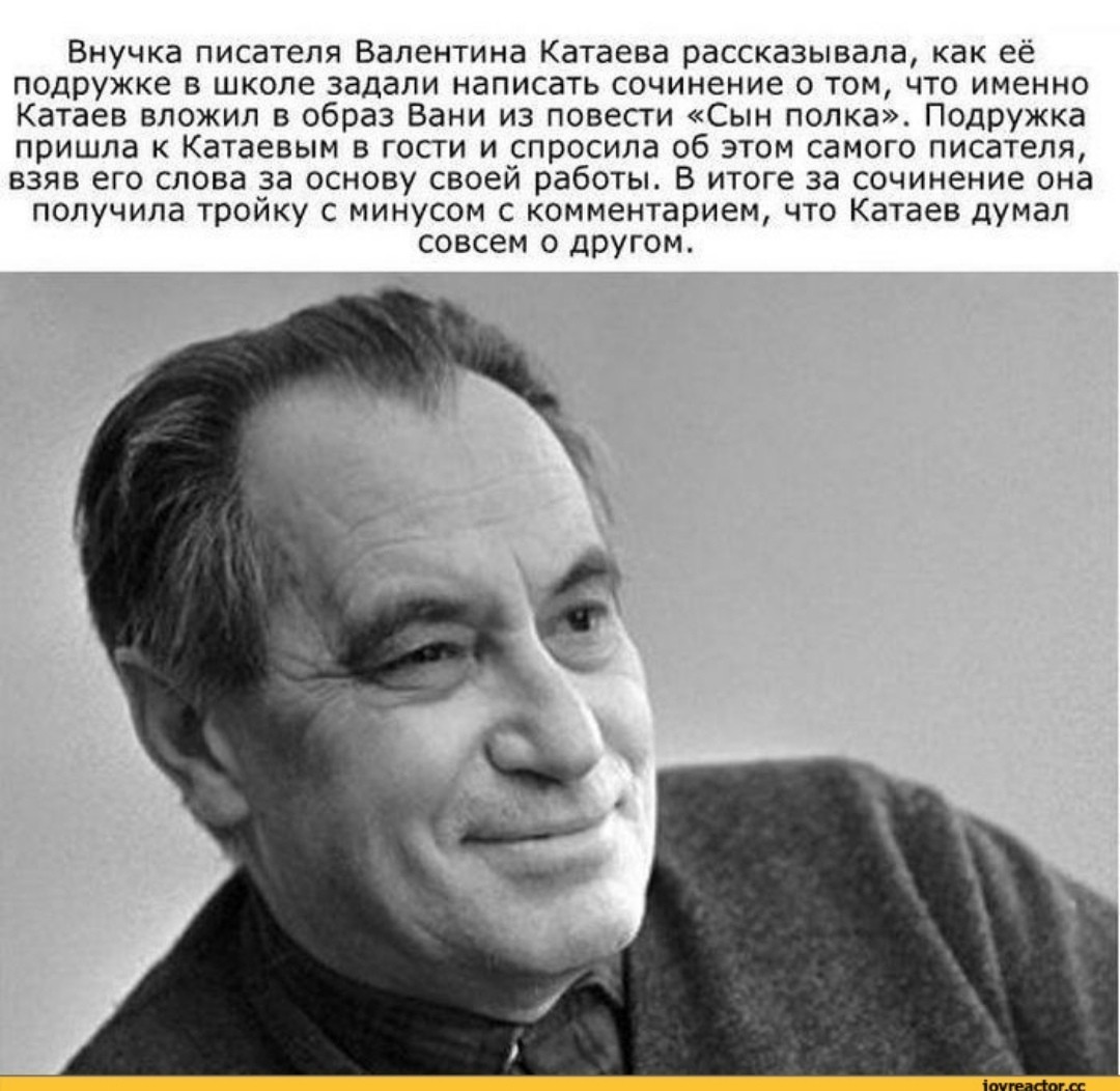 Писатель помог сыну написать эссе по своей книге, но тот получил тройку |  Пикабу