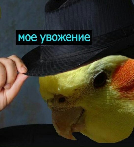 1544167639115819950.jpg
