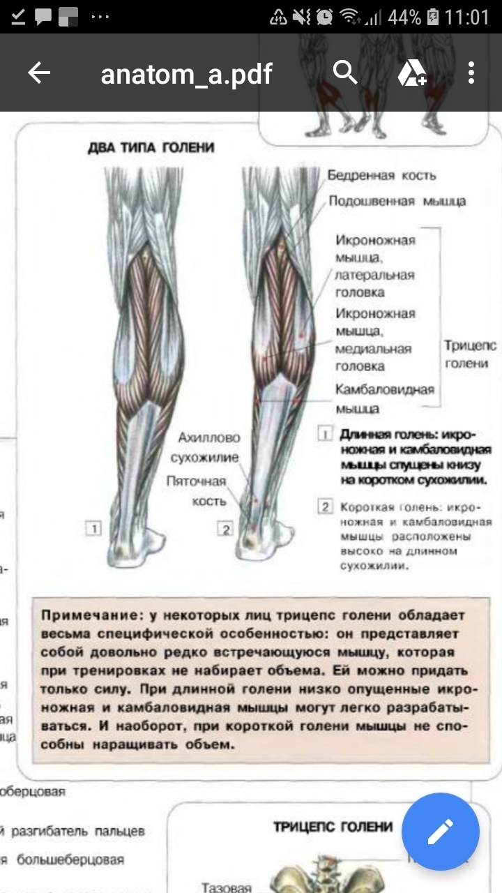 ����������� ��������� �������� ���� �����: ����.