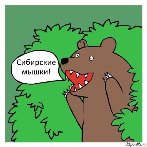 Маша Бабко :: Siberian Mouse :: подросла :: красивая девушка / картинки,  гифки, комиксы и всякие приколы на SafeReactor