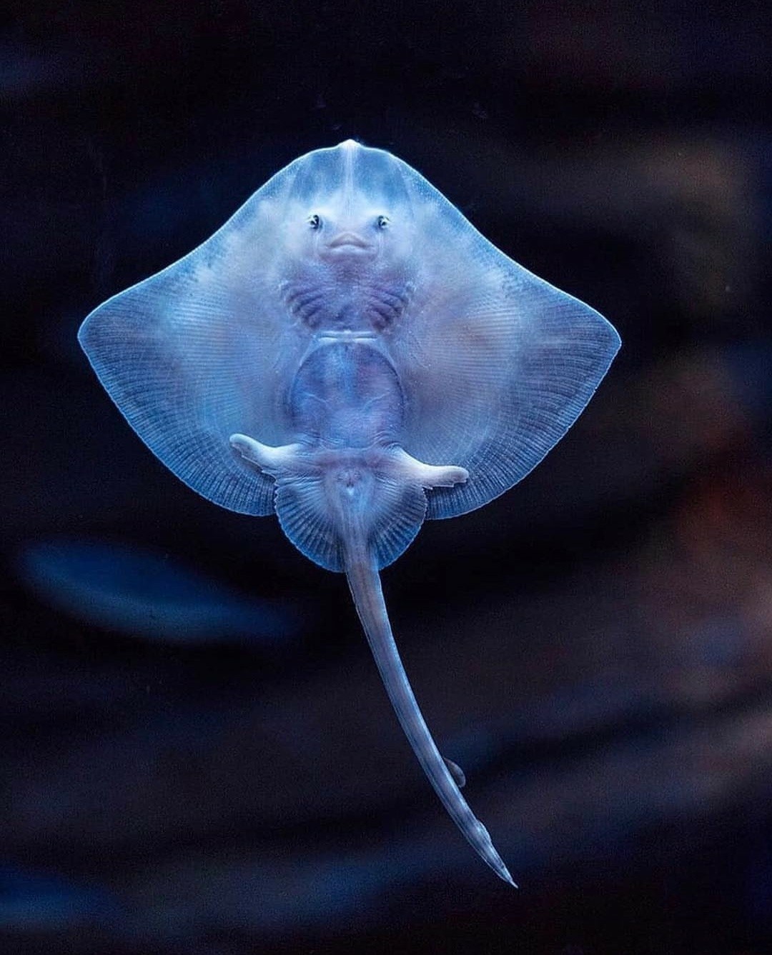 Что бы голову не напекло) | Пикабу