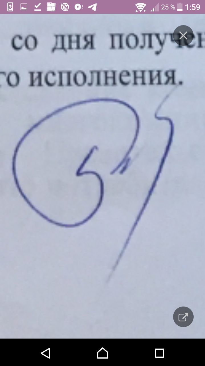 Соседи на тропе войны. Как развлечься в карантин | Пикабу