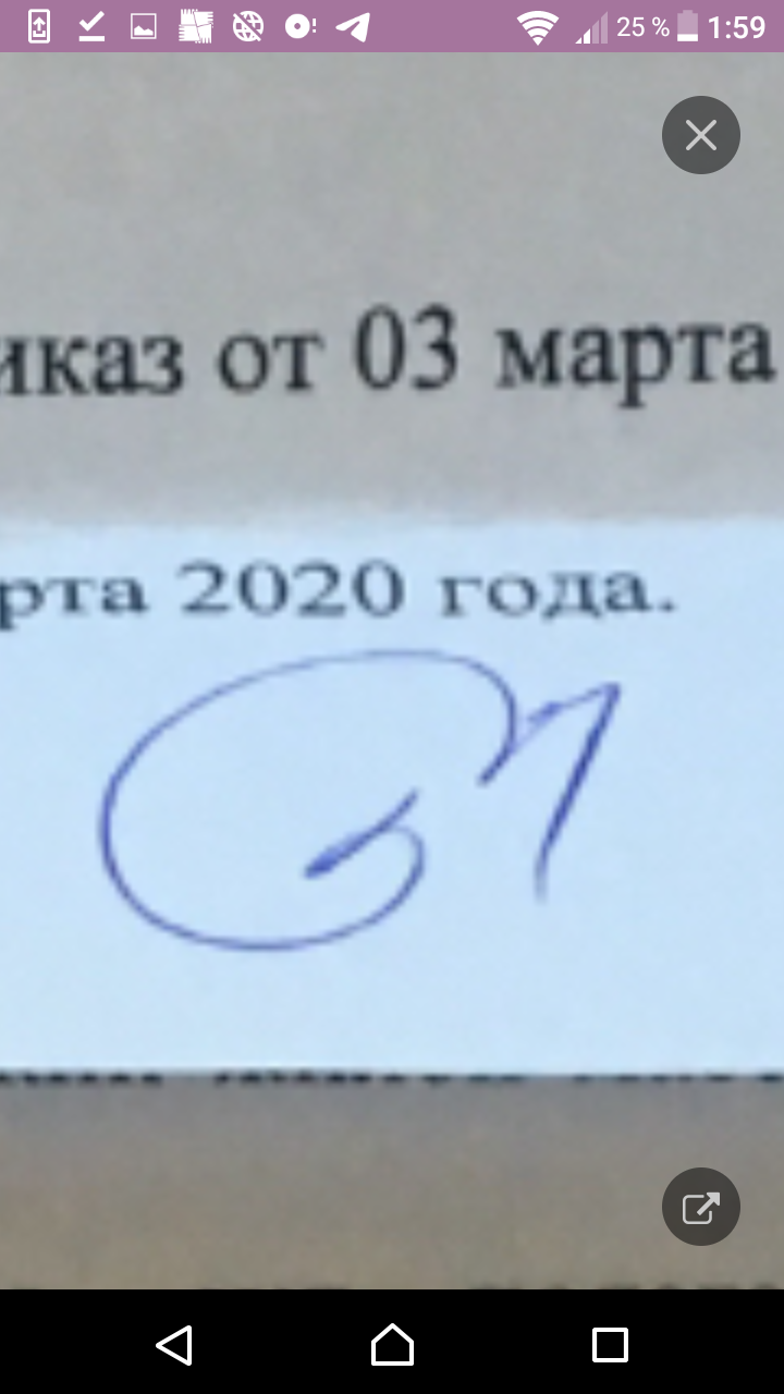 Соседи на тропе войны. Как развлечься в карантин | Пикабу