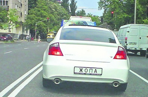 Эволюция