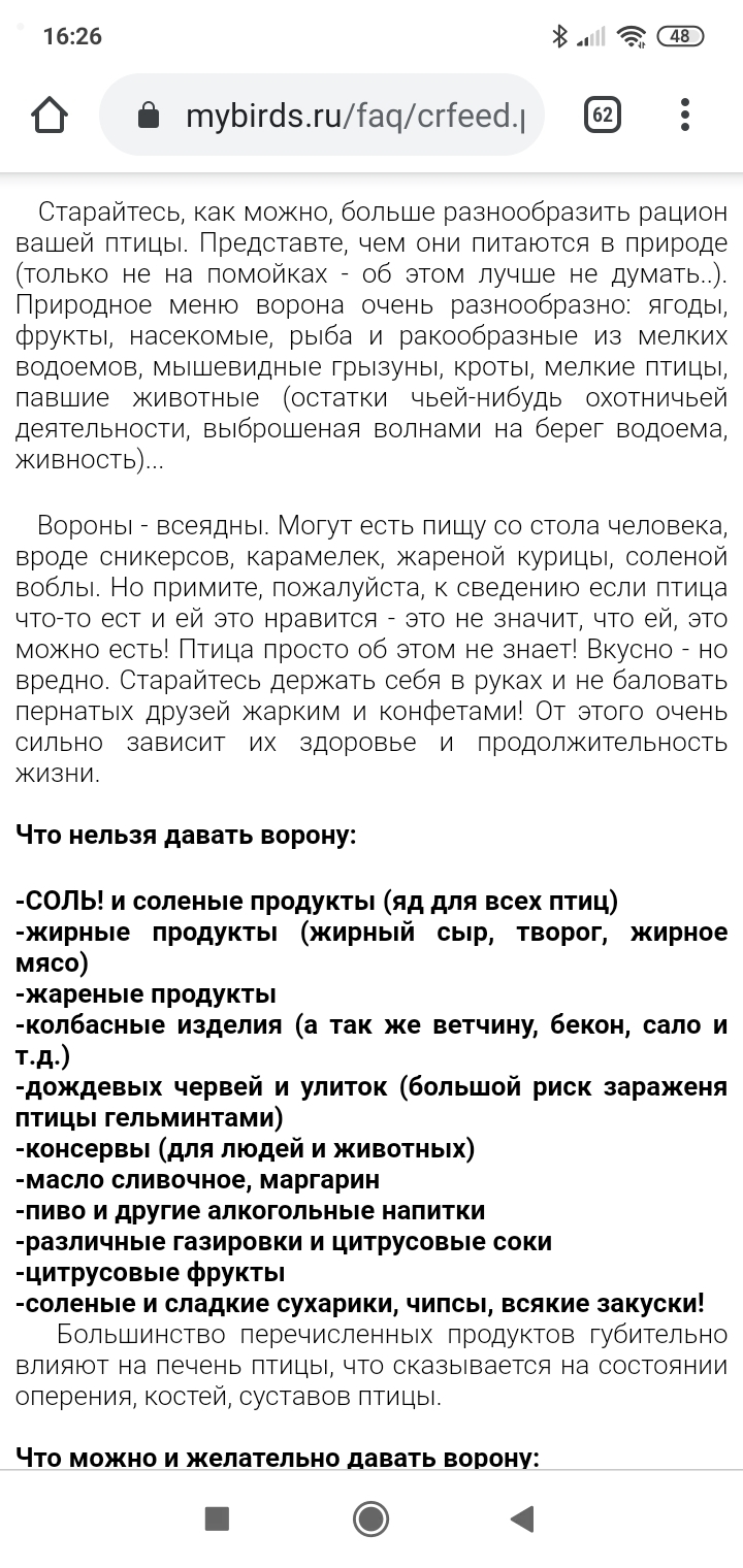 Нужен совет по поводу сорок и ворон во дворе многоэтажного дома | Пикабу