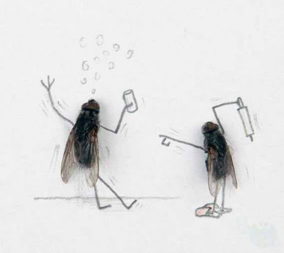 Поцеловал муху. Магнус Мур мухи. Magnus Muhr и его мухи.. Муха рисунок. Картины из мух.