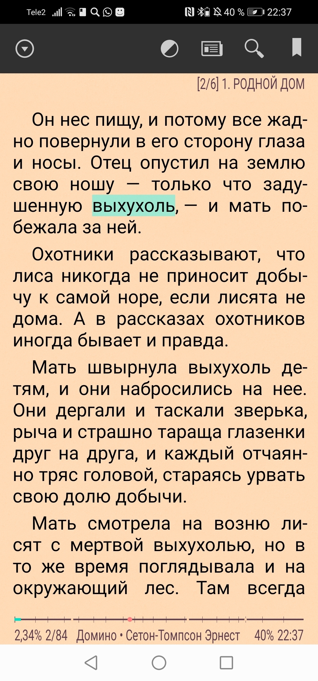 Выхухоль: «Русский утконос» и его гибель под натиском ГЭС | Спецрепортаж из  экспедиции | Пикабу