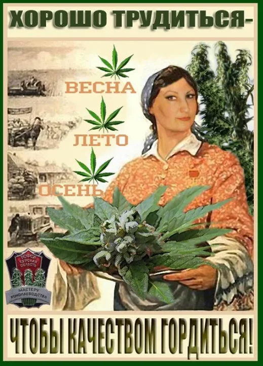 Как по татарски будет конопля беременным марихуану