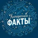 какое животное откладывает яйца в песке