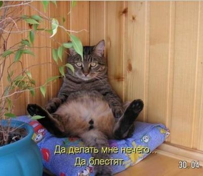 Как сделать спичечный шар