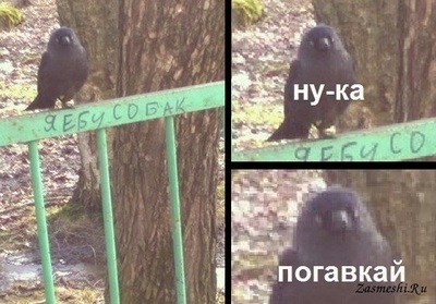 Иллюстрация к комментарию