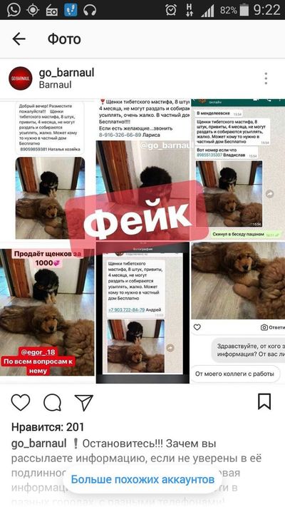 ����������� � �����������