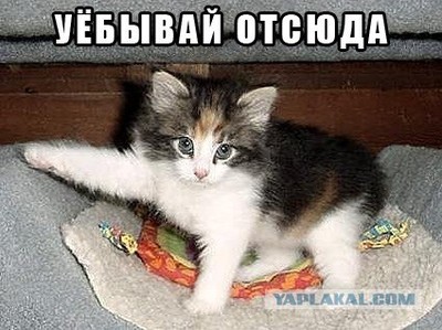 что делать если скучно пикабу. Смотреть фото что делать если скучно пикабу. Смотреть картинку что делать если скучно пикабу. Картинка про что делать если скучно пикабу. Фото что делать если скучно пикабу