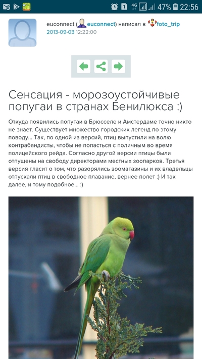 ����������� � �����������