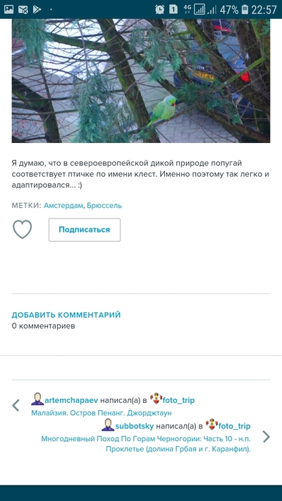 ����������� � �����������