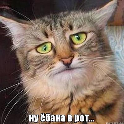 Рецепт водки голова не болит Рецепт водки голова не болит thumbnail