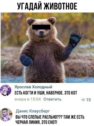 Угадай что за животное мем