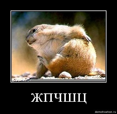 для лл пикабу что это. Смотреть фото для лл пикабу что это. Смотреть картинку для лл пикабу что это. Картинка про для лл пикабу что это. Фото для лл пикабу что это