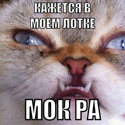 что такое локтар огар. Смотреть фото что такое локтар огар. Смотреть картинку что такое локтар огар. Картинка про что такое локтар огар. Фото что такое локтар огар