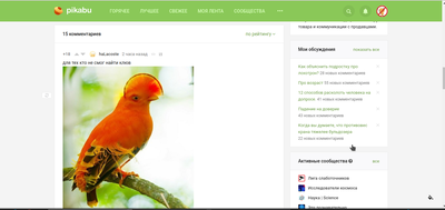 Иллюстрация к комментарию