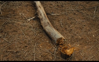 Зависть фраера сгубила что значит. Смотреть фото Зависть фраера сгубила что значит. Смотреть картинку Зависть фраера сгубила что значит. Картинка про Зависть фраера сгубила что значит. Фото Зависть фраера сгубила что значит Зависть фраера сгубила что значит. Смотреть фото Зависть фраера сгубила что значит. Смотреть картинку Зависть фраера сгубила что значит. Картинка про Зависть фраера сгубила что значит. Фото Зависть фраера сгубила что значит