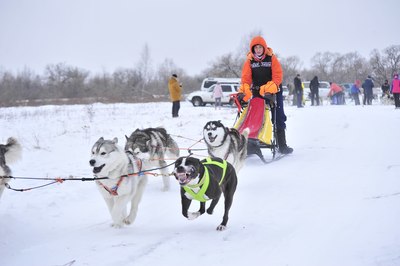 Собачья упряжка как называется. Смотреть фото Собачья упряжка как называется. Смотреть картинку Собачья упряжка как называется. Картинка про Собачья упряжка как называется. Фото Собачья упряжка как называется Собачья упряжка как называется. Смотреть фото Собачья упряжка как называется. Смотреть картинку Собачья упряжка как называется. Картинка про Собачья упряжка как называется. Фото Собачья упряжка как называется