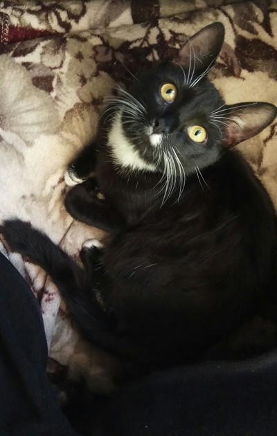 Иллюстрация к комментарию