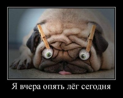 Девушка и мозг мем. Смотреть фото Девушка и мозг мем. Смотреть картинку Девушка и мозг мем. Картинка про Девушка и мозг мем. Фото Девушка и мозг мем