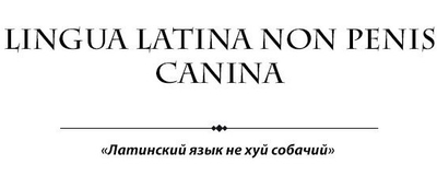 Правильно латинский язык или латынь