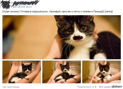 ����������� � �����������