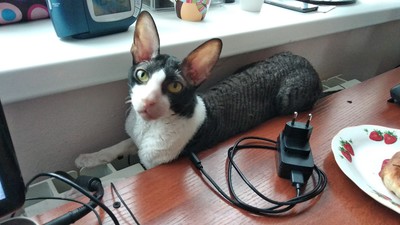 Иллюстрация к комментарию