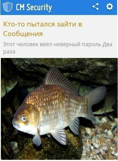 Презентация есть ли жизнь в воде подо льдом 1 класс пнш