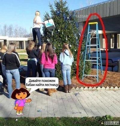 1557994550136020676 помогите даше найти мозги