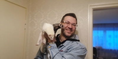 Можно ли завести хорька если есть дети