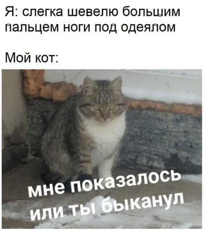 что такое колдун кэт. Смотреть фото что такое колдун кэт. Смотреть картинку что такое колдун кэт. Картинка про что такое колдун кэт. Фото что такое колдун кэт