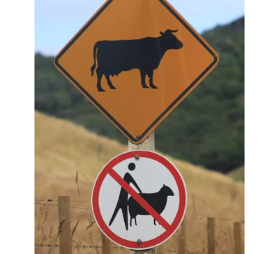 Забудь все чему тебя учили. Смотреть фото Забудь все чему тебя учили. Смотреть картинку Забудь все чему тебя учили. Картинка про Забудь все чему тебя учили. Фото Забудь все чему тебя учили Забудь все чему тебя учили. Смотреть фото Забудь все чему тебя учили. Смотреть картинку Забудь все чему тебя учили. Картинка про Забудь все чему тебя учили. Фото Забудь все чему тебя учили