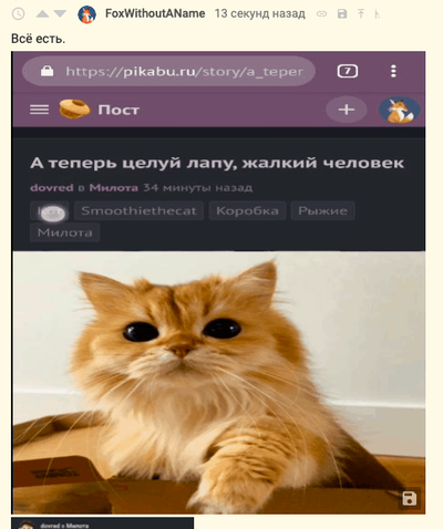 Иллюстрация к комментарию