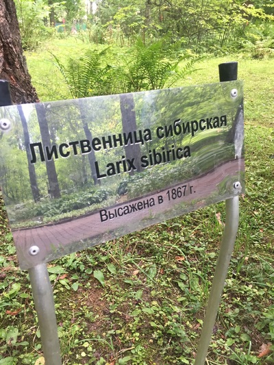 избирательное право в австро венгрии