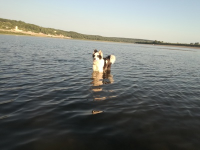 Иллюстрация к комментарию