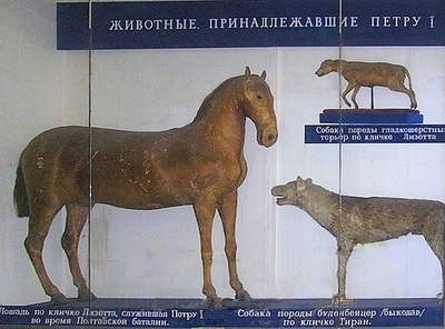 скажи пожалуйста как меня зовут. Смотреть фото скажи пожалуйста как меня зовут. Смотреть картинку скажи пожалуйста как меня зовут. Картинка про скажи пожалуйста как меня зовут. Фото скажи пожалуйста как меня зовут скажи пожалуйста как меня зовут. Смотреть фото скажи пожалуйста как меня зовут. Смотреть картинку скажи пожалуйста как меня зовут. Картинка про скажи пожалуйста как меня зовут. Фото скажи пожалуйста как меня зовут