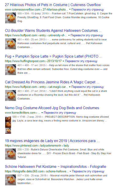 ����������� � �����������