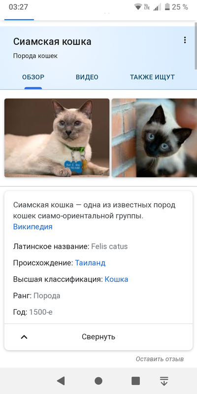 ����������� � �����������