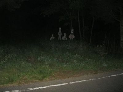 чего в лесу не бывает. 1570778124141014622. чего в лесу не бывает фото. чего в лесу не бывает-1570778124141014622. картинка чего в лесу не бывает. картинка 1570778124141014622. Решил сегодня походить по осеннему лесу в погоне за красивыми пейзажами.Первым в объектив попалось местное водохранилище.Неделю назад видел здесь выводок диких уток и не захватил фотоаппарат.Сегодня же мне не повезло с птицами.Ну хоть рябина порадовала своим рубиновым цветом.